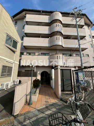 ベルジュネス　（50G号）