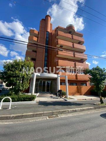 グレイスコート (505号)