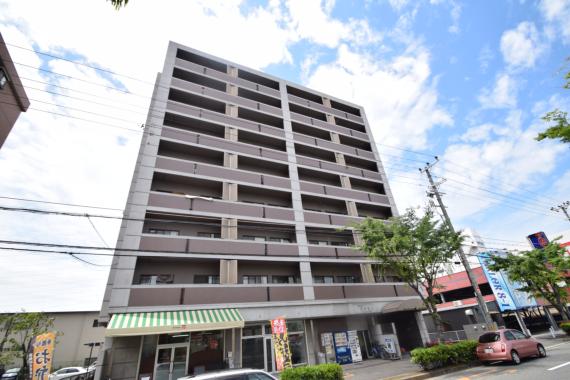 サンクチュアリ (807号)