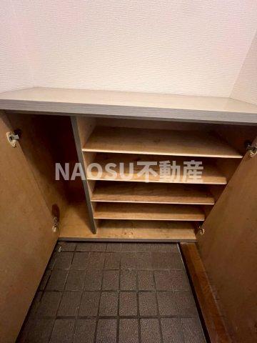 スターリースカイテラニシ