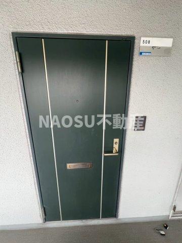 スターリースカイテラニシ