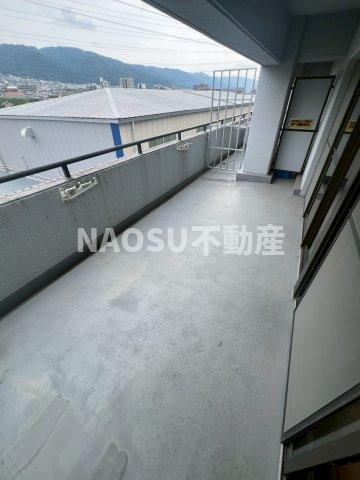 スターリースカイテラニシ