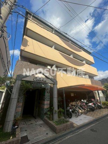 セレーブル (208号)