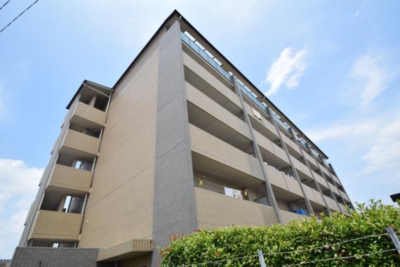 ヴィブレ・ムライ (203号)